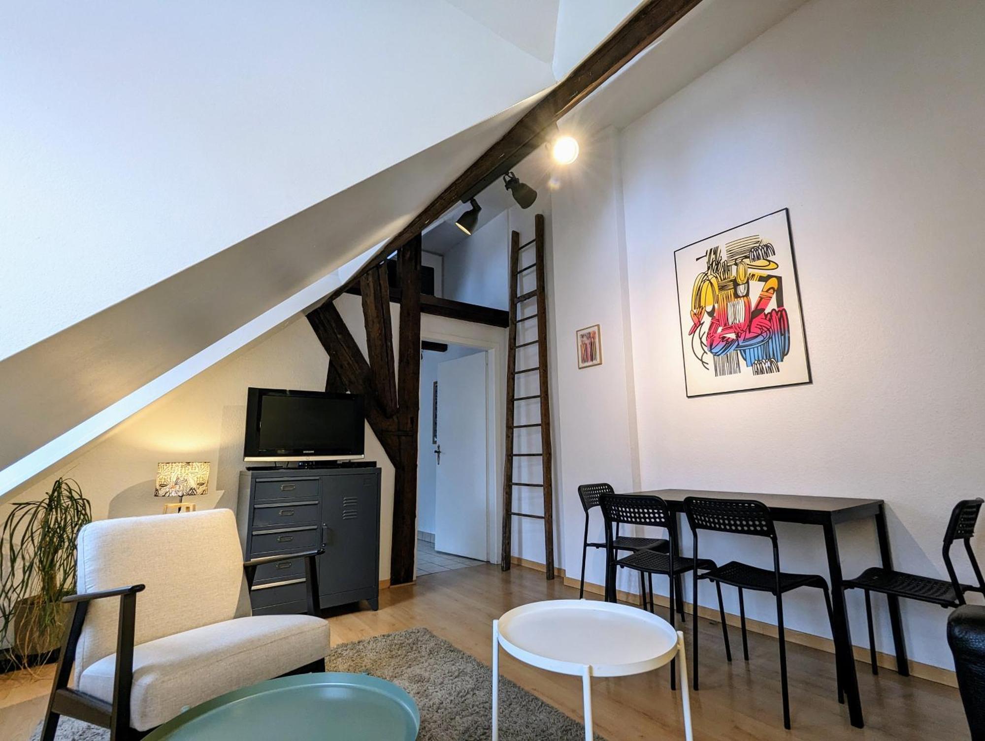 Appartement Des Serruriers Strasbourg Eksteriør bilde