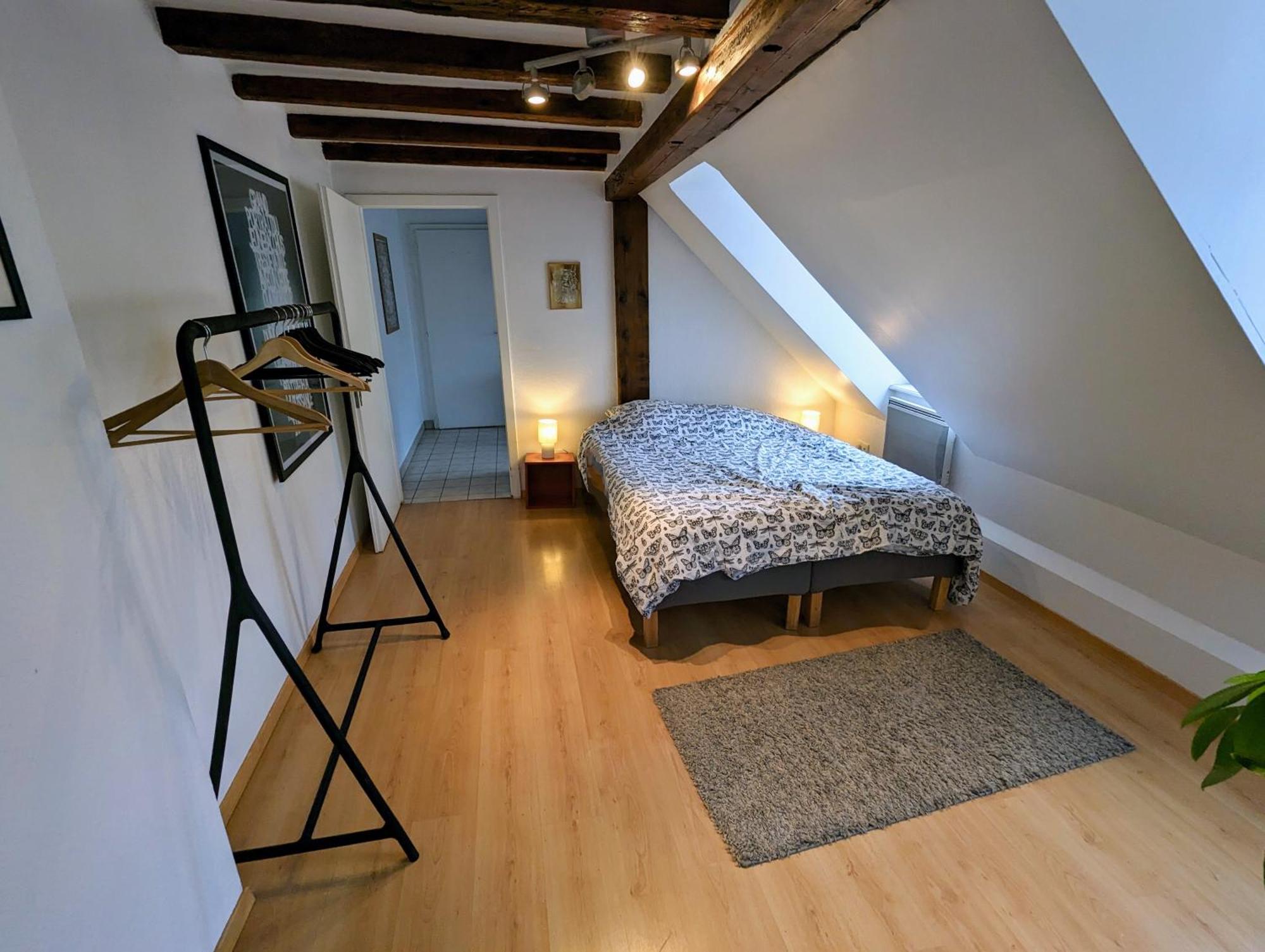 Appartement Des Serruriers Strasbourg Eksteriør bilde