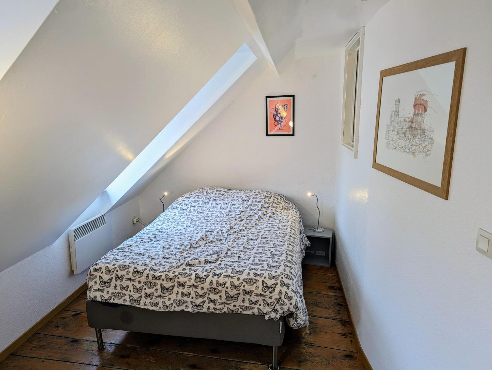 Appartement Des Serruriers Strasbourg Eksteriør bilde