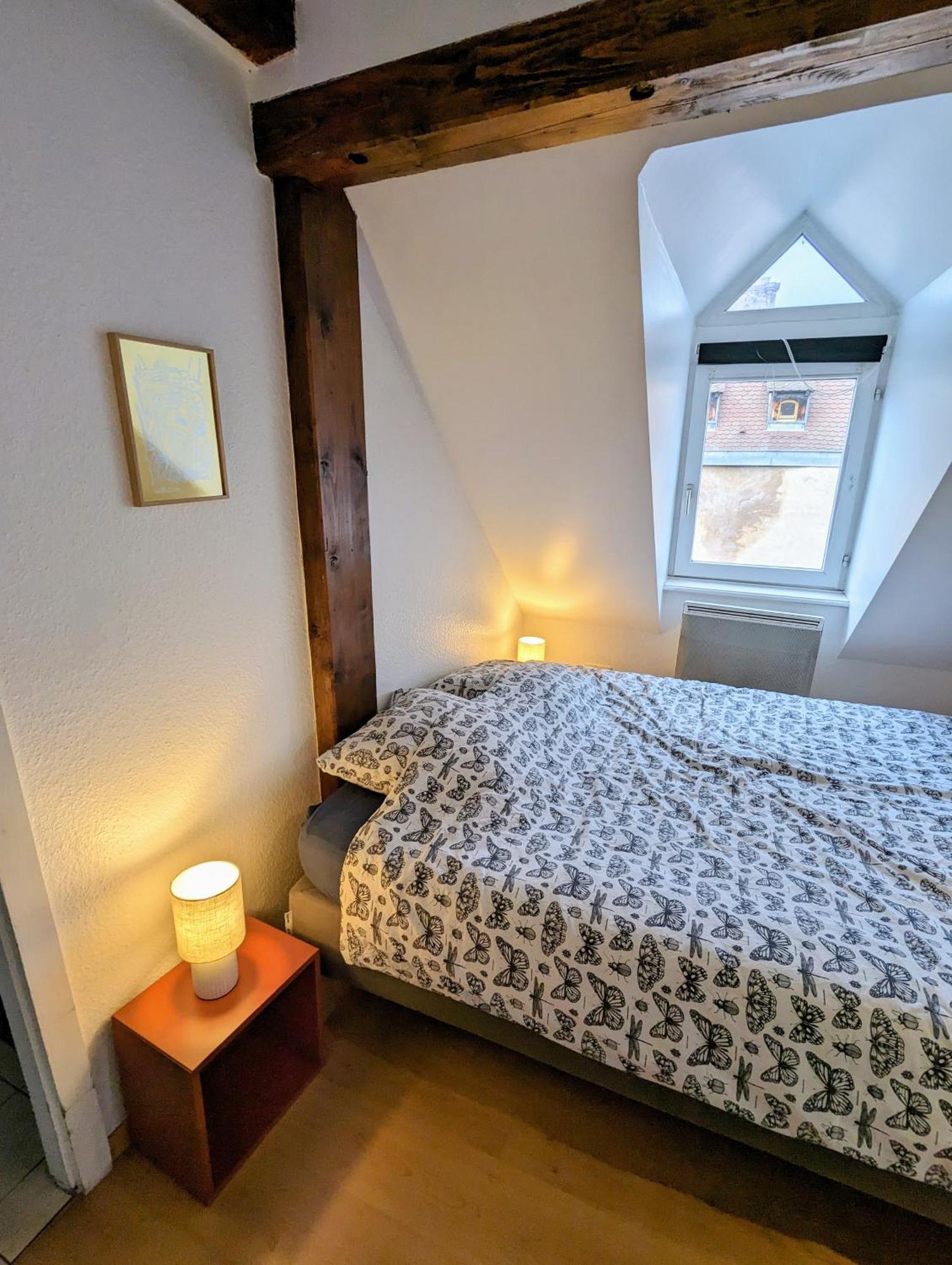 Appartement Des Serruriers Strasbourg Eksteriør bilde
