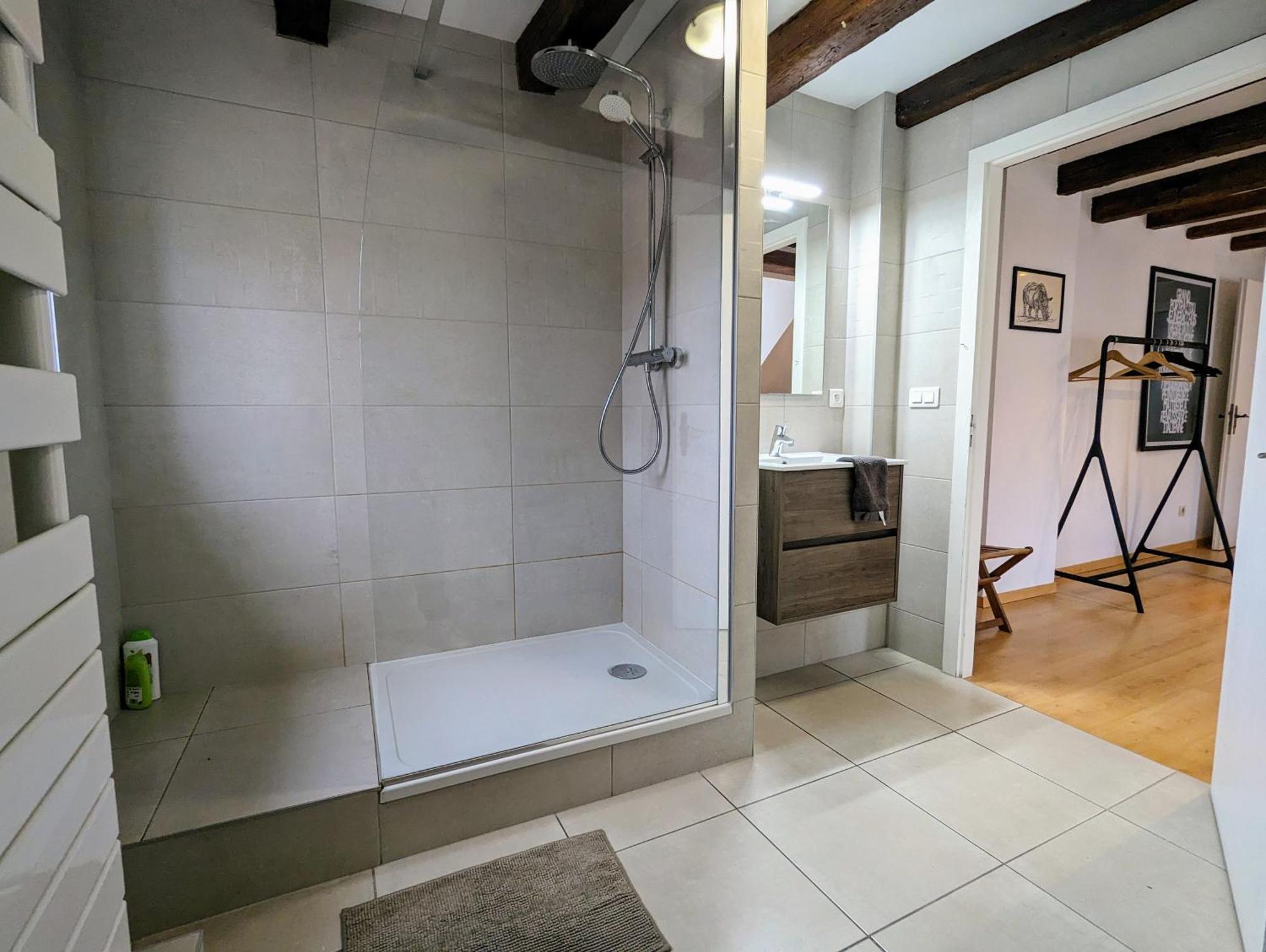 Appartement Des Serruriers Strasbourg Eksteriør bilde