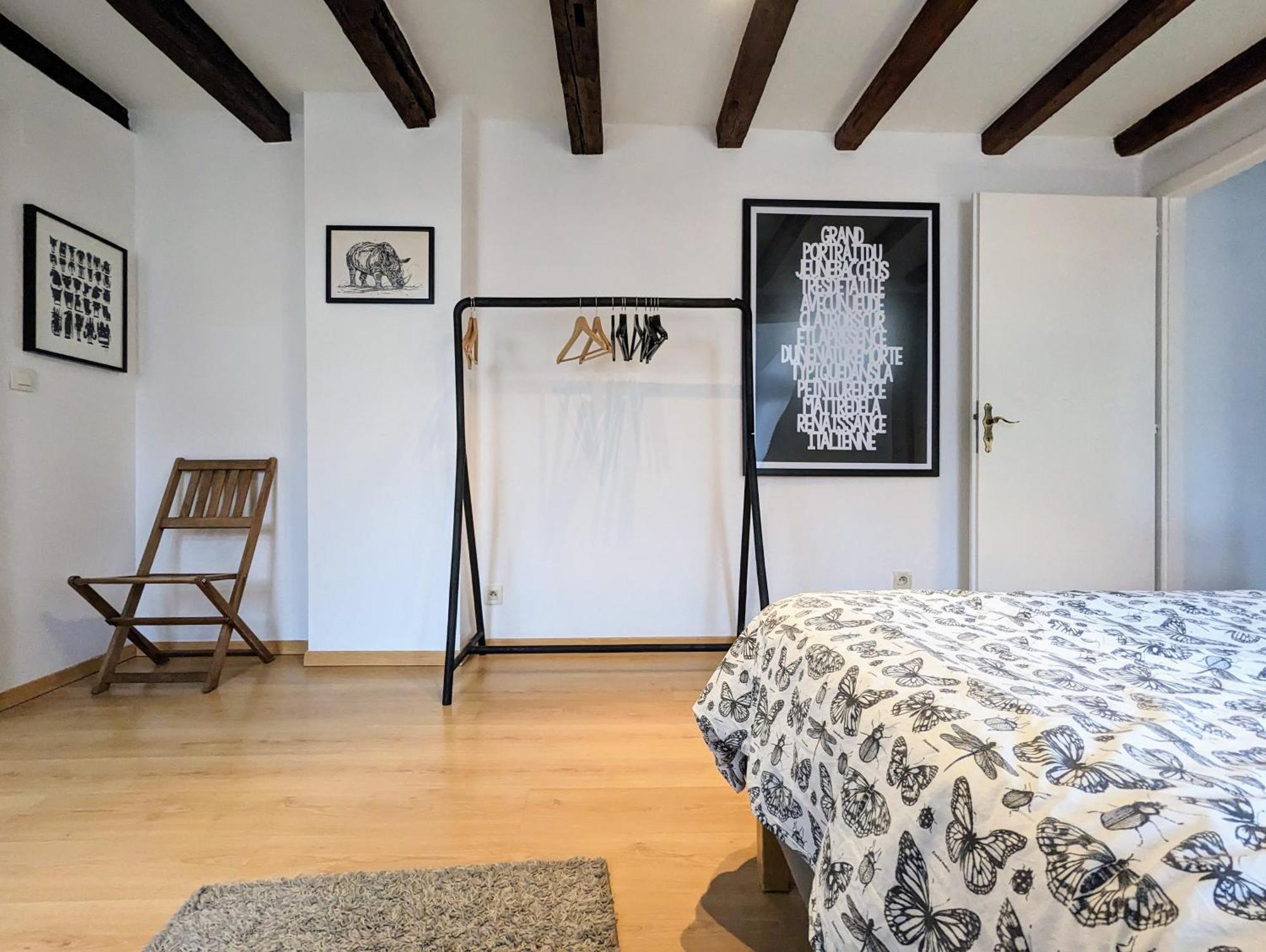 Appartement Des Serruriers Strasbourg Eksteriør bilde